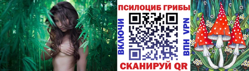 Галлюциногенные грибы Magic Shrooms  Кострома 